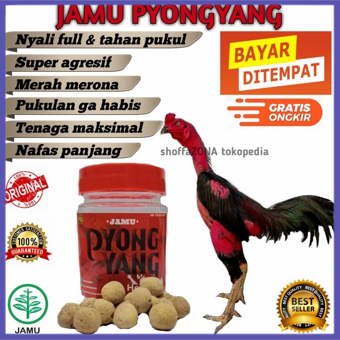 

✔ COD ✔ JAMU AYAM BANGKOK TERBAIK SUPER NAFAS PANJANG PYONGYANG