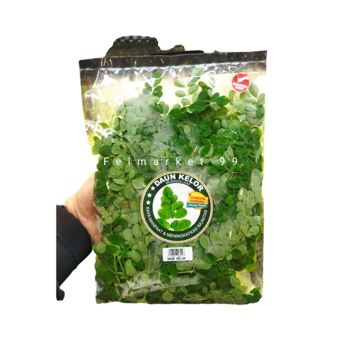 

Daun kelor segar kaya manfaat | pack