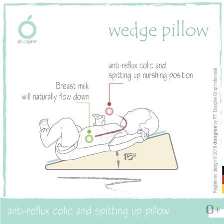 Dooglee Wedge Pillow / Doogle / Bantal Bayi