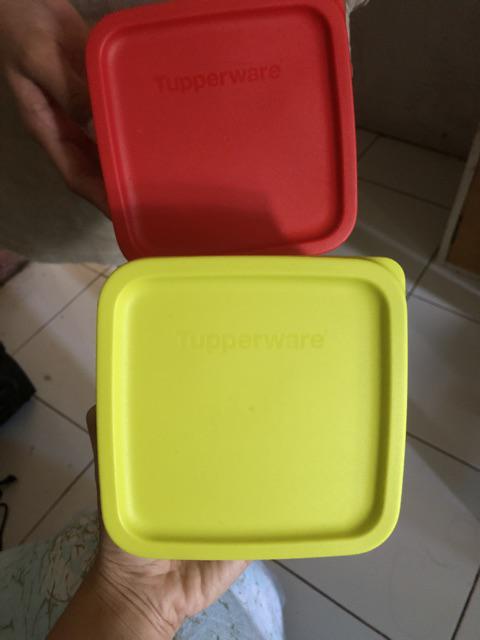 Small Summer Fresh Ecer