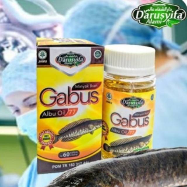 Best Seller KAPSUL MINYAK IKAN GABUS ALBU OIL 77 DARUSYIFA MEMPERCEPAT PENYEMBUHAN LUKA / LUKA PASCA