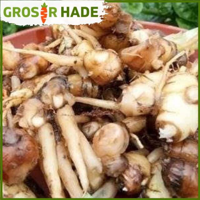 

Kencur 100 gram Pasar Bandung Murah