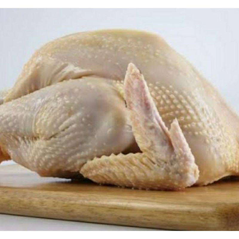 

Ayam kampung baru potong berat 1.3 kg potong 4