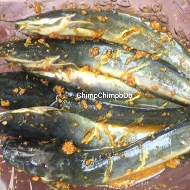 

LELE SEGAR BUMBU KUNING 500 GRAM / LELE BUMBU KUNING SIAP GORENG