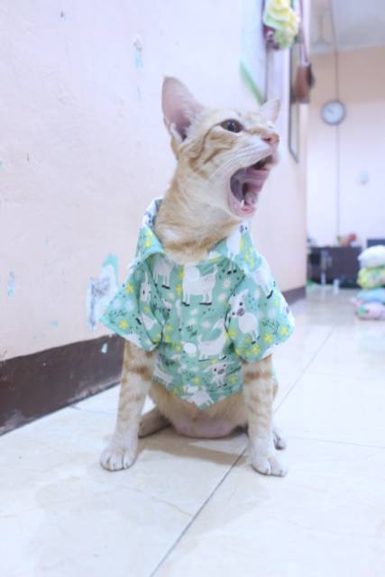 Kemeja hijau motif kambing lucu untuk kucing dan anjing / baju kucing murah size S M L XL