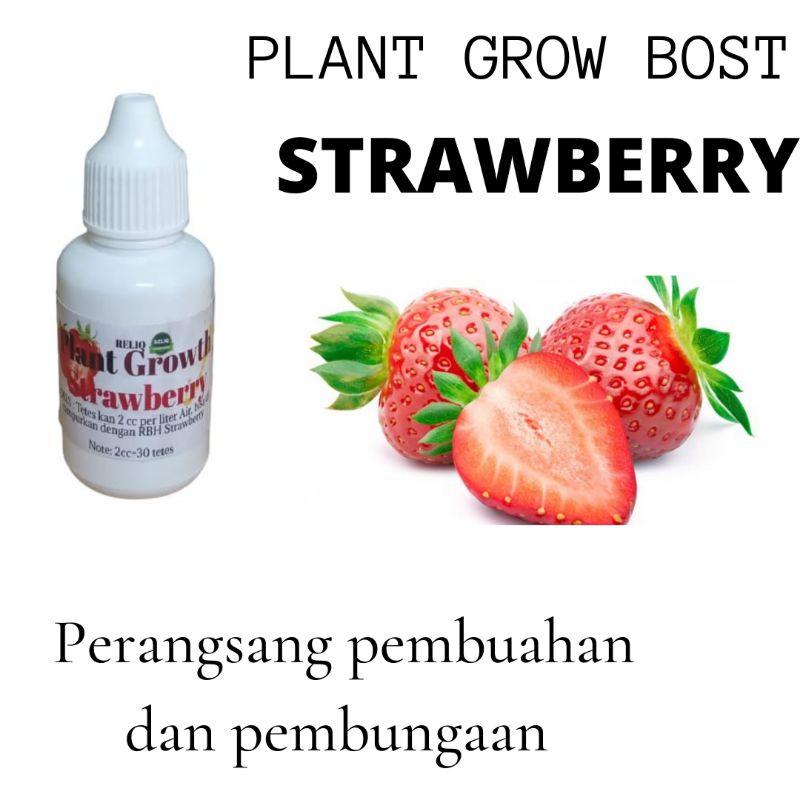 Booster Strawberry Cepat Berbuah,Pupuk Strawberry Agar Berbuah Lebat