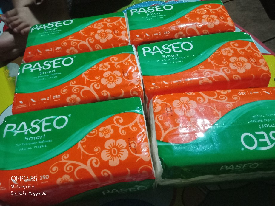 Tisue  Paseo 250 Ply