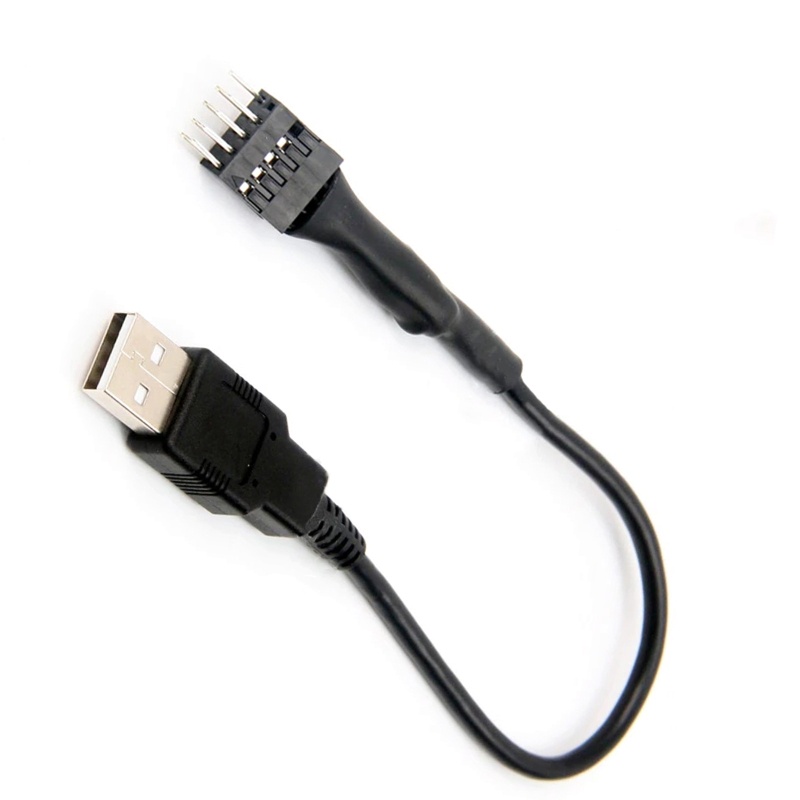 Btsg Kabel Adapter USB 9-Pin Male Ke Single USB Tipe A Male