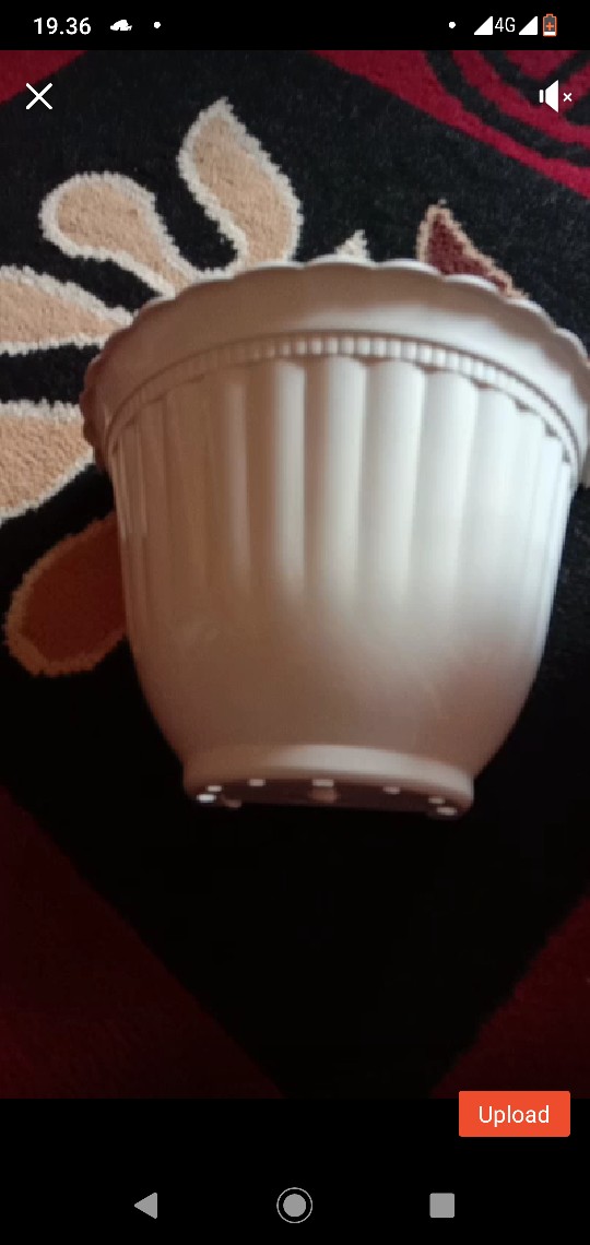 Pot Tembok Isabella Merek Shallom 28 Cm