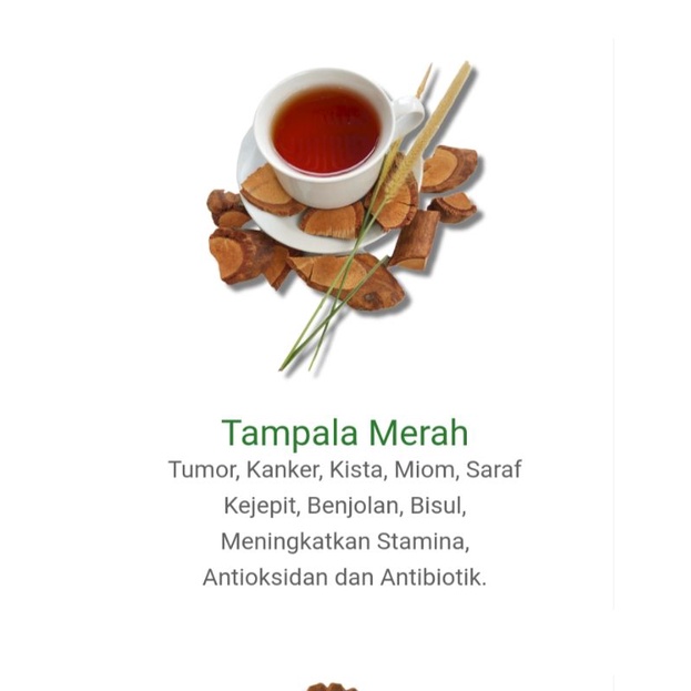 AKAR BAJAKAH TAMPALA MERAH SUPER ASLI 100% BERGARANSI 250 GR