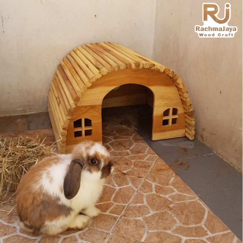 Rumah Kelinci Rumah Marmut Tempat Sembunyi Kelinci