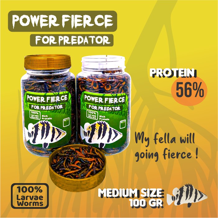 Pakan Makanan Ikan Predator Power Fierce Ulat Hongkong Kering Channa Arapaima Oscar Datnoid IKANESIA