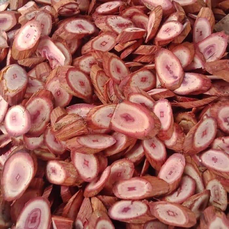 

Bajakah Tampala Merah ASLI KALIMANTAN DIAMBIL LANGSUNG DARI HUTAN