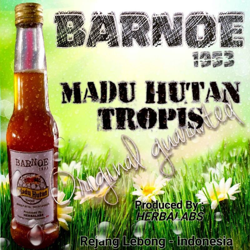 

Madu Hutan Barnoe