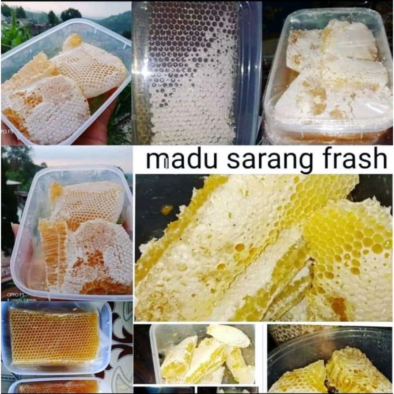 

madu liar madu sarang