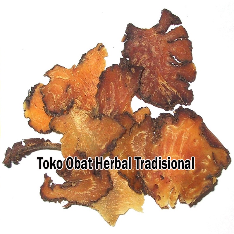 

[ 川芎 ] Chuan Xiong - Cuan Kiong - Chuan Kiong - Rhizoma Chuanxiong - Obat Alami - Herbal