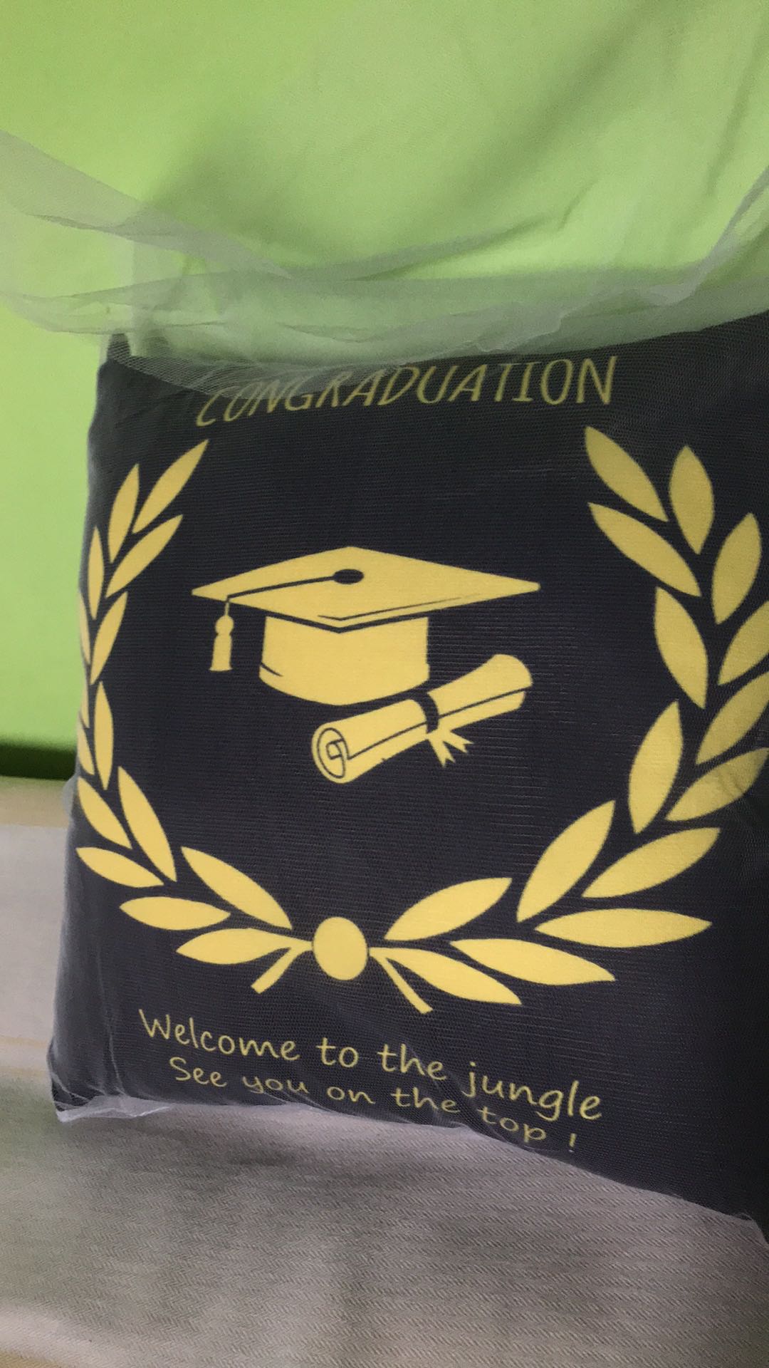 Bantal Hadiah Kado Wisuda Ready 30x30