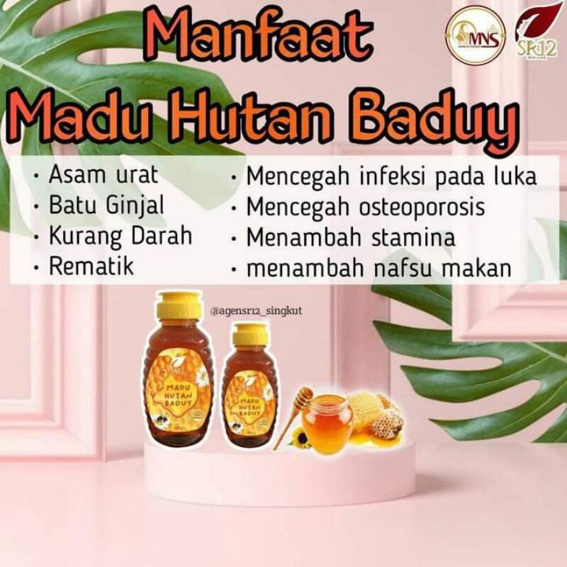 

MADU ASLI MADU HUTAN BADUY