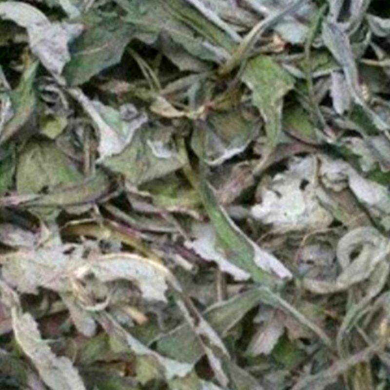 

daun tempuyung kering 100 gram