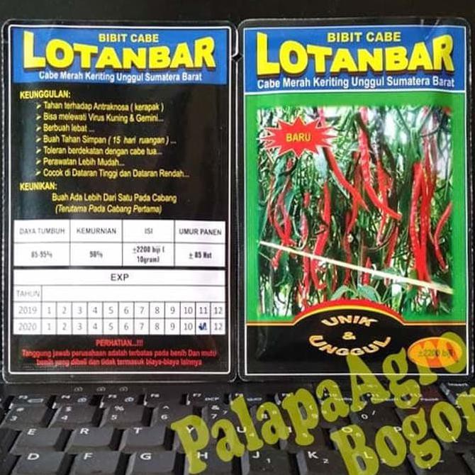 ( Cmk - Lotanbar ) Benih Bibit Cabe Merah Keriting Lotanbar 10Gr