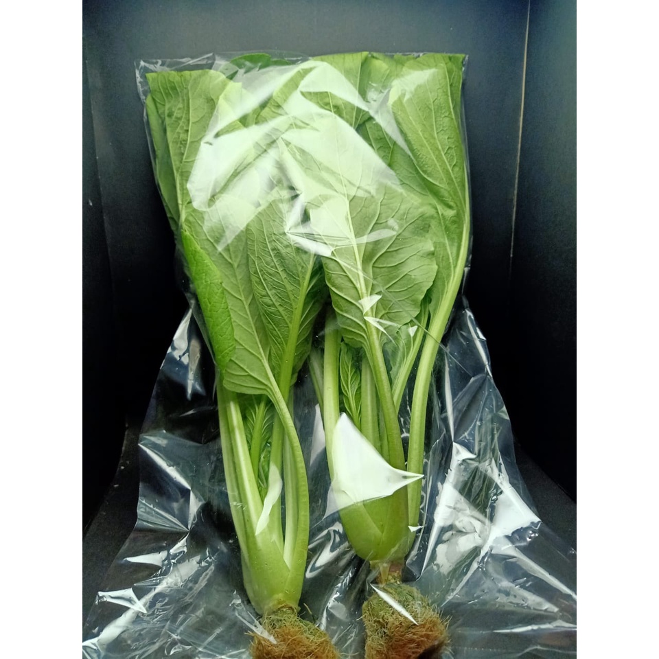 

Sayur Sawi Caisim Fresh Hidroponik