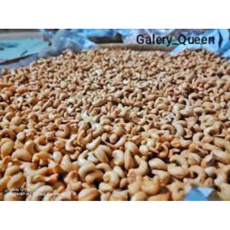 

Kacang Mete / Mete / Kacang Mede (Matang) 1KG