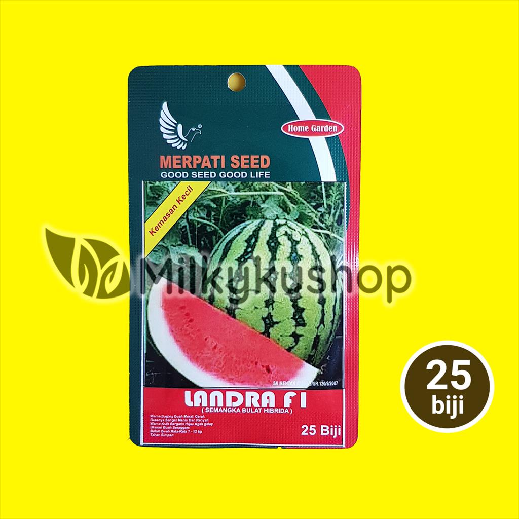 BENIH MERPATI SEED LANDRA F1 SEMANGKA 25 BIJI SACHET KEMASAN PABRIK