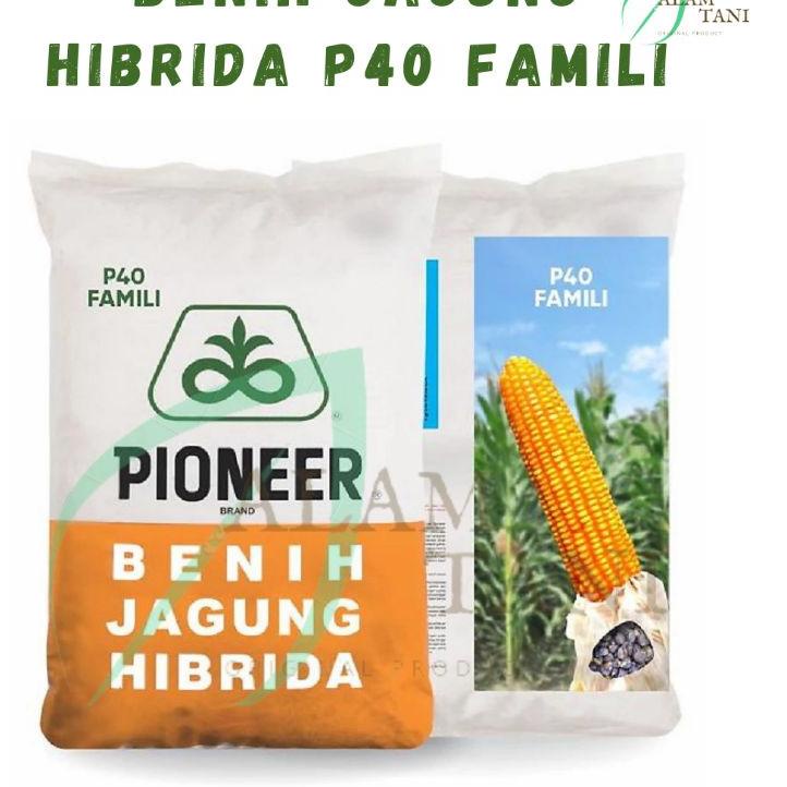 Pasti.murah BIBIT BENIH JAGUNG HIBRIDA P40 FAMILY 1KG Pioneer P40 Famili Harga.heboh