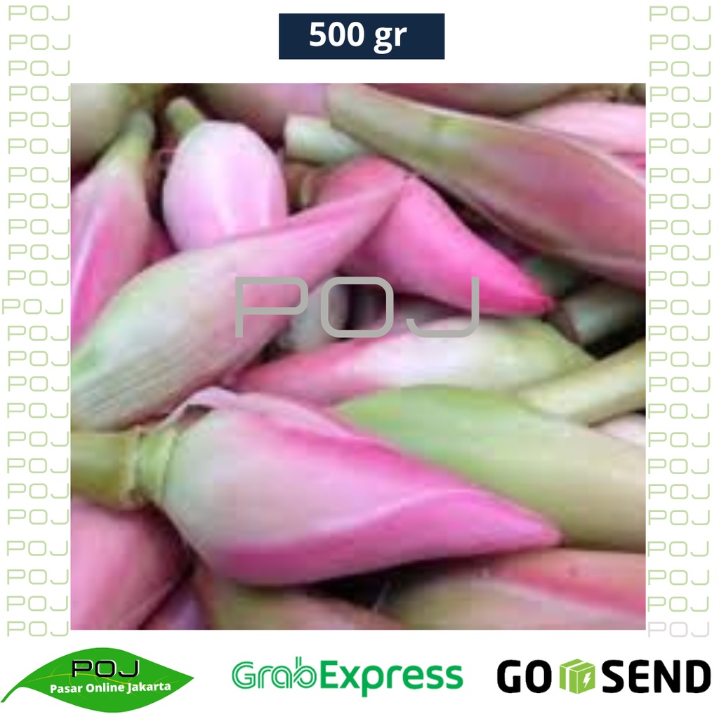 

Kecombrang 250 gr✓Bunga Rias✓Kincong✓Kecombrang Segar✓Kecombrang Bunga✓Bunga Rias Segar✓Bumbu✓POJ