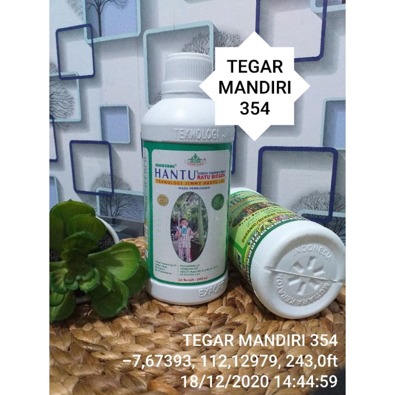 pupuk  jimmy hantu pembuahan / hormon tanaman jimmy hantu ratu biogen / pupuk pembuahan jimmy hantu 