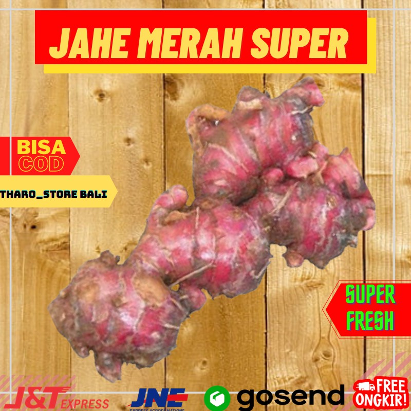 

Jahe Merah Segar 1 KG Denpasar Super Fresh Red Ginger Minuman Obat Herbal Store Online Termurah Bali