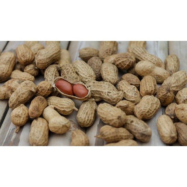 

KACANG TANAH 3 KG