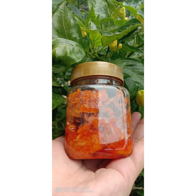

Sambal Cumi Bunda Montie