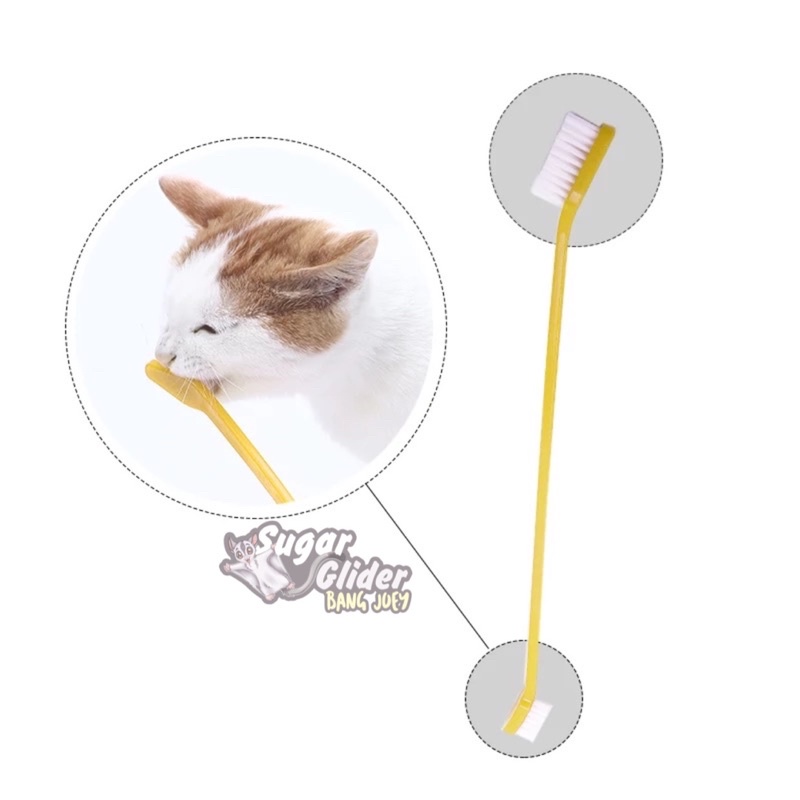 TOOTHBRUSH for PET Sikat Gigi Hewan Anjing Kucing kelinci free Sarung Jari Pembersih musang monyet