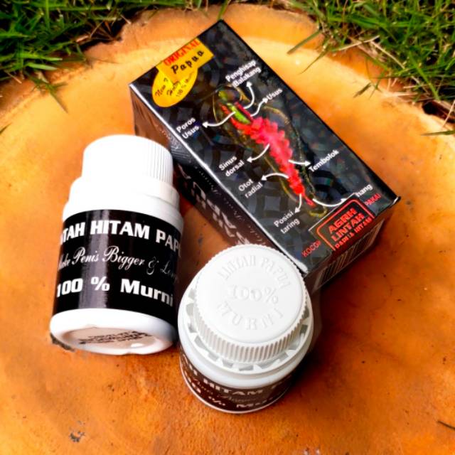 Minyak Lintah Hitam Papua asli