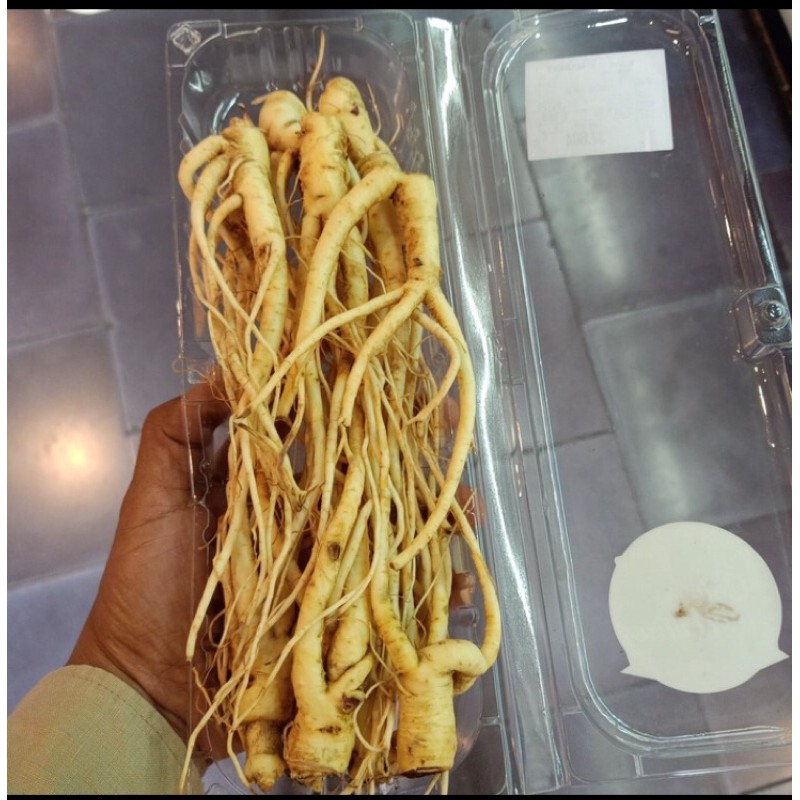 

ginseng fresh 150gr pack