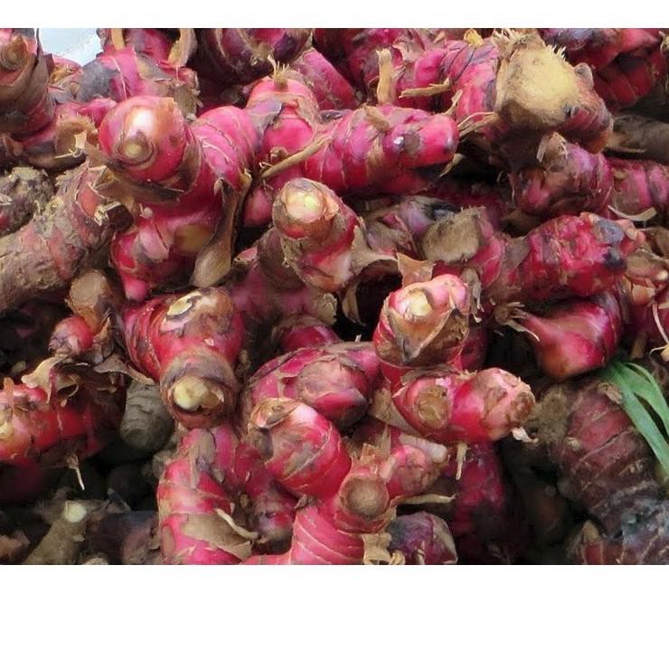 

Top Produk Jus Bawang Putih Tunggal Lanang, Jahe Merah, Lemon, Cuka Apel, Madu - Obat Herbal Jantung