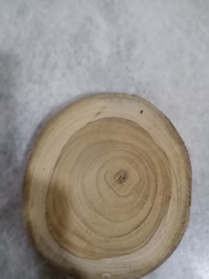 Wood Slice Potongan Kayu Jati Diameter 9 - 10 Cm