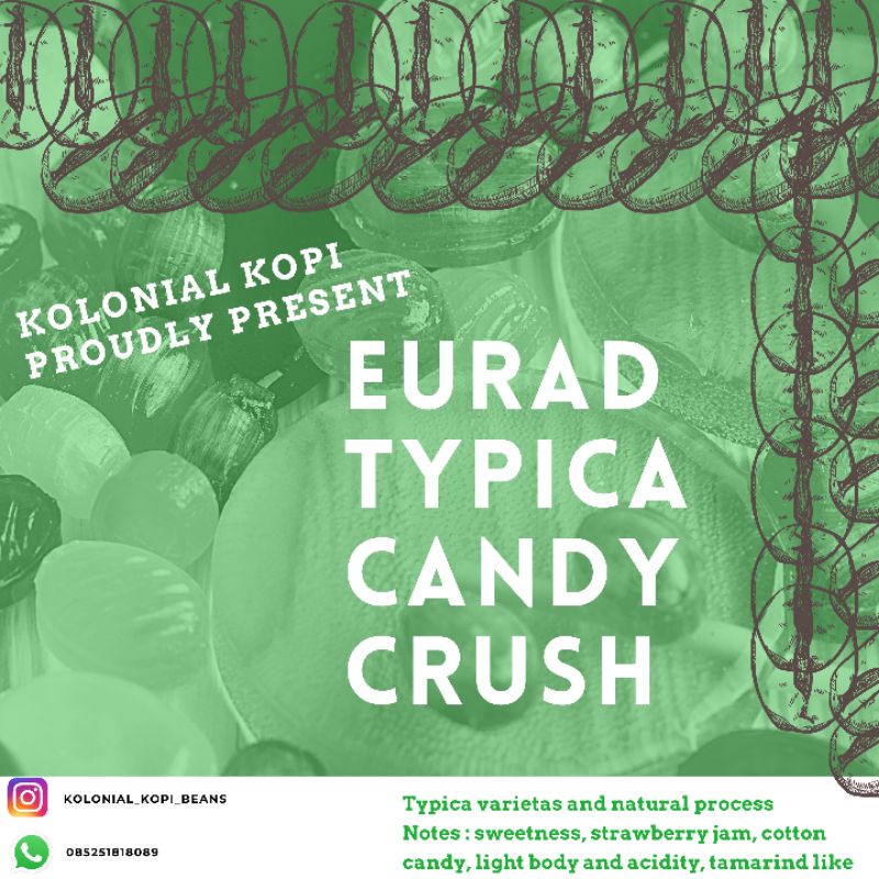 

Kopi Arabika Eurad Typica