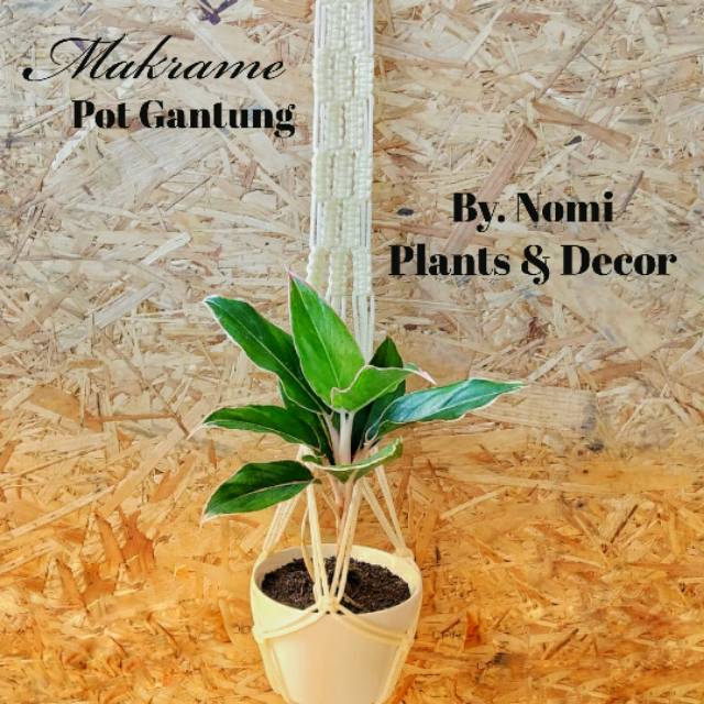Gantungan Pot Makrame Tali Kur Murah Shopee Indonesia Gantungan Pot Makrame Tali Kur Murah Shopee Indonesia