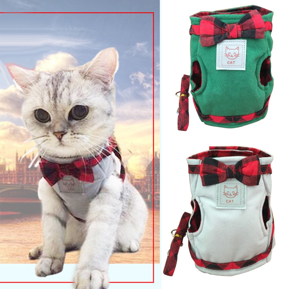Tali Tuntun Anjing / Kucing untuk Jalan-jalan IMPORT