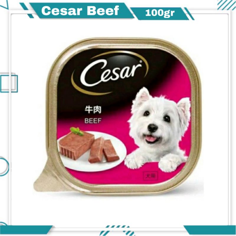 Makanan Anjing Cesar / Dog Food Cesar Wet Food 100gr - Beef