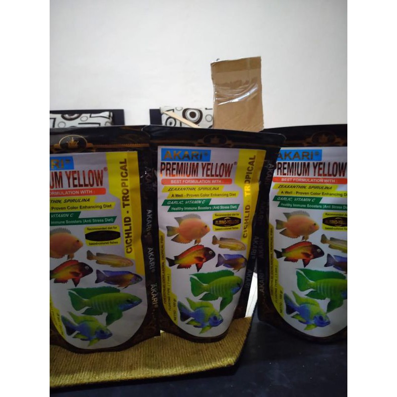 Akari Premium Yellow Chiclid