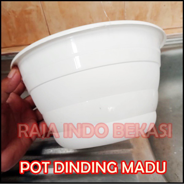 Pot Dinding Madu Putih Hijau Biru Ungu Pot Tempel Madu Putih - Bukan Pot Dinding Argo Gentong Tawon