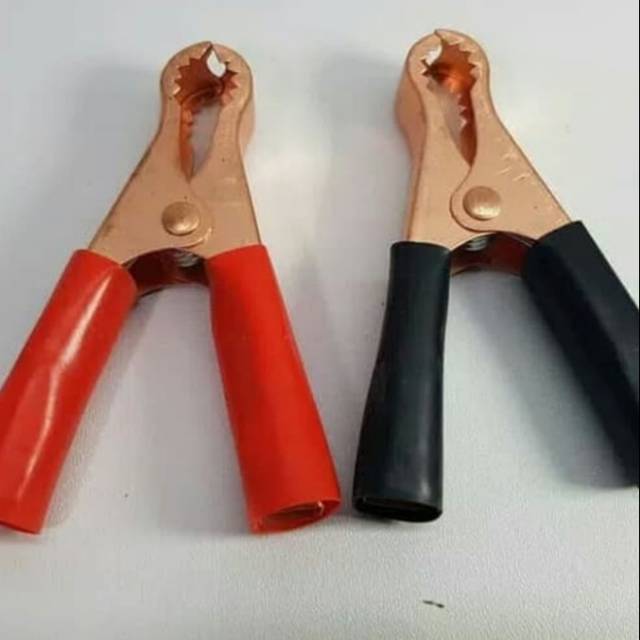 Capit Aki / Capit Buaya Aki Besar