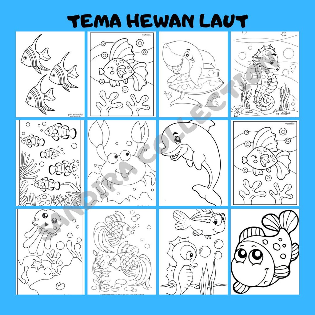 

SANDIRA - LEMBAR GAMBAR MEWARNAI ANAK SERIES HEWAN LAUT