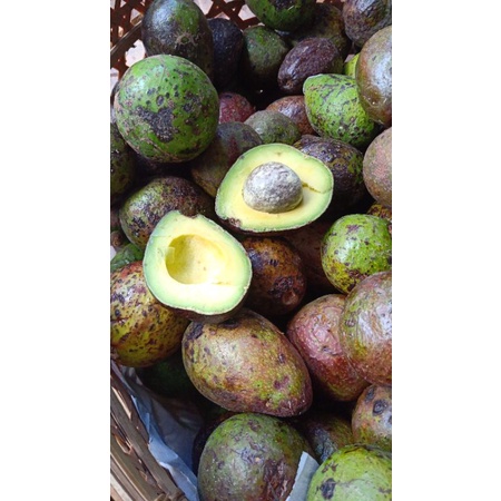 

avocado