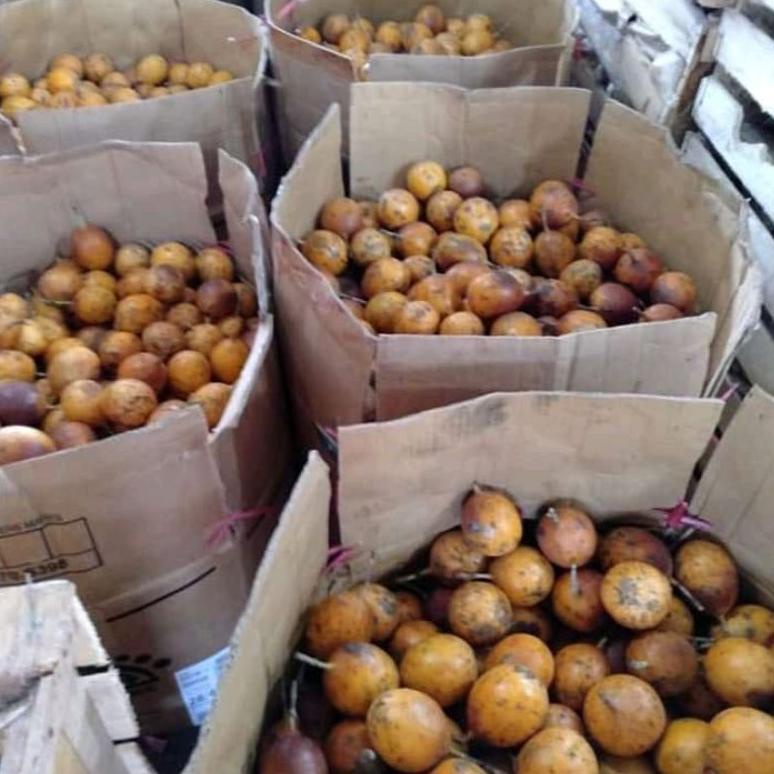 

Sale >> Dmu98 konyal/markisa manis (madu) [1 kg] #