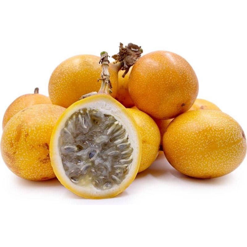 biji benih markisa kuning markisa madu