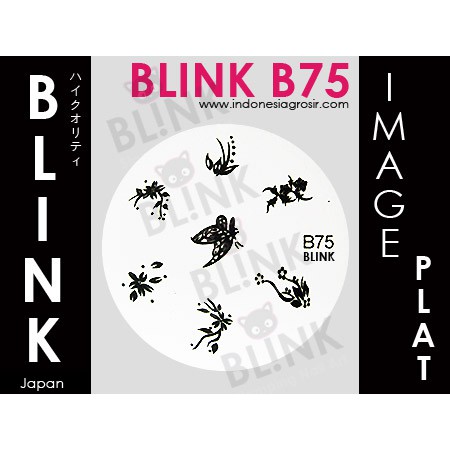 BLINK Image Plate B71 - B81